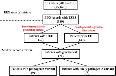 Genetic Etiologies in Developmental and/or Epileptic Encephalopathy With Electrical Status Epilepticus During Sleep: Cohort Study